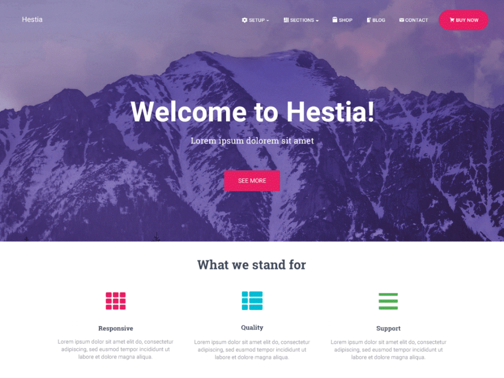 Hestia-WordPress-Theme
